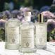 Інтер'єрні духи Logevy Firenze ECO-SPRAY 100 ML Champagne e bacche di rosa (Шампанське & Рожеві ягоди) (LOG0141) LOG0141 фото 2