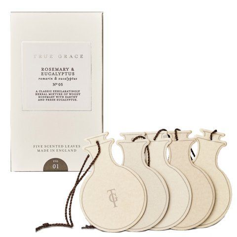 Ароматичне саше (5шт.) True Grace VILLAGE SCENTED LEAVES 5PCS №:05 Rosemary & Eucalyptus (SLE5-V-05) SLE5-V-05 фото