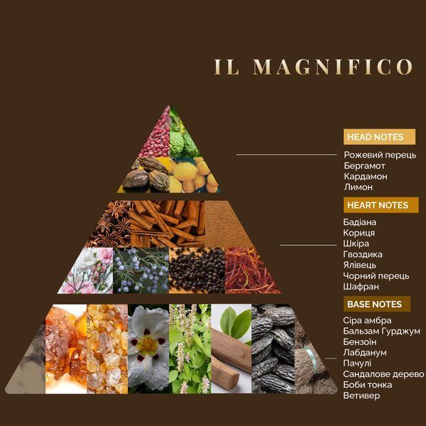 Аромадифузор Logevy Firenze 100 ML PRIVATE Il Magnifico (LOG0227) LOG0227 фото