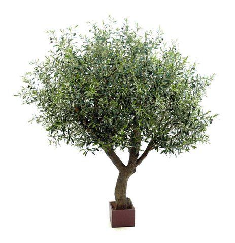 ОЛИВКОВЕ ДЕРЕВО 7' Natural Olive Tree Poly Trunk with Fruits CU3037 фото