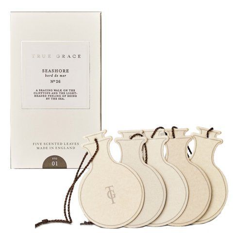 Ароматичне саше (5шт.) True Grace VILLAGE SCENTED LEAVES 5PCS №:26 Seashore (SLE5-V-26) SLE5-V-26 фото