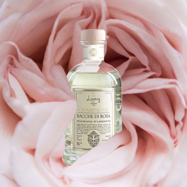 Аромадифузор Logevy Firenze 100 ML Champagne e bacche di rosa (Шампанське & Рожеві ягоди) (LOG0171) LOG0171 фото