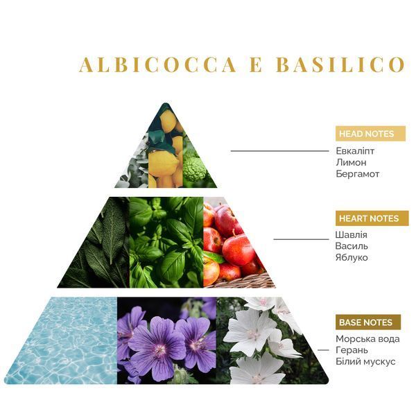 Рефіл (наповнювач до аромадифузору) Logevy Firenze 500 ML Albicocca e Basilico (Абрикос & Базилік) (LOG135) LOG135 фото
